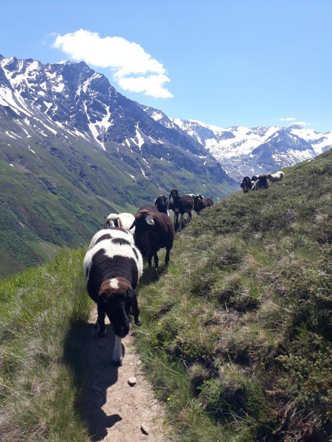 Berg-Juwel Apartman Sankt Leonhard im Pitztal Kültér fotó